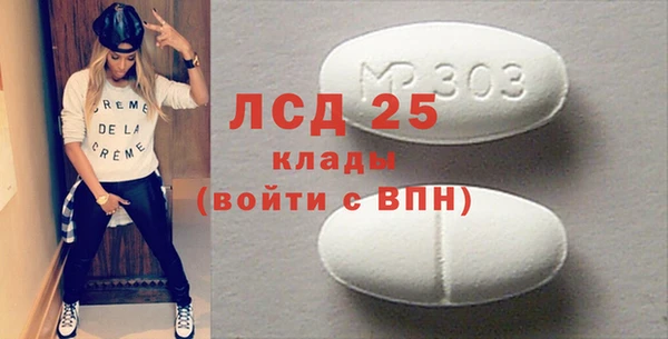 спайс Гусь-Хрустальный