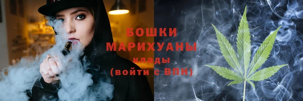 стафф Новодвинск