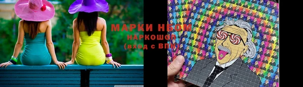 гидра Горнозаводск